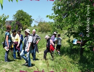 Formation n°4 aux recencements des nids d'hirondelles 2026